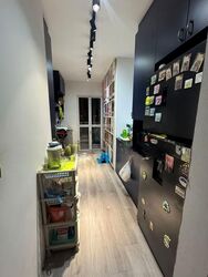 Blk 289A Compassvale Cape (Sengkang), HDB 4 Rooms #541110981